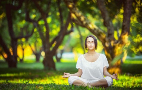 世界杯推荐平台-根据您提供的内容，我为您生成了以下标题，，揭开记忆宫殿的面纱，为什么你的大脑其实是个空间导航仪